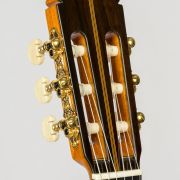 SAERS Guitar A70 Detail 1
