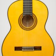 SAERS Guitar A70 Detail 2