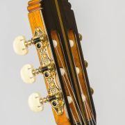 SAERS Guitar A70 Detail 3