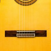 SAERS Guitar A70 Detail 5