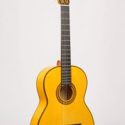 SAERS Guitar A70 Detail 7