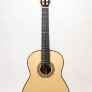 SAERS Guitar A90 Detail 4