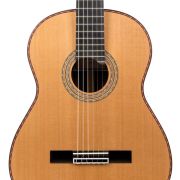 SAERS Guitar A90 Detail 9