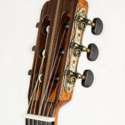 SAERS Guitar AH80 Detail